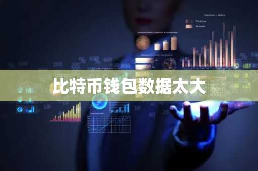 比特币钱包数据太大