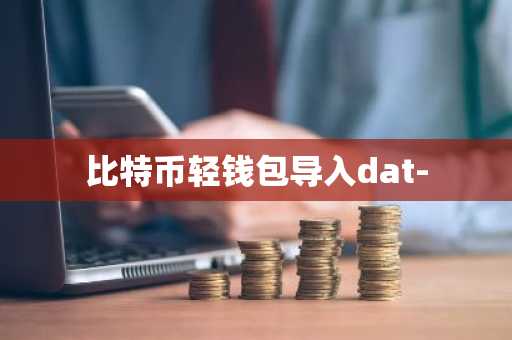 比特币轻钱包导入dat-
