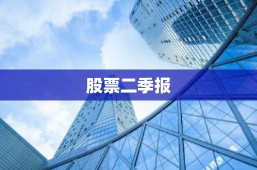 股票二季报