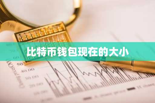 比特币钱包现在的大小