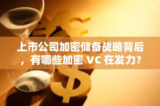 上市公司加密储备战略背后，有哪些加密 VC 在发力？