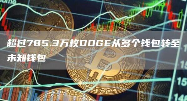超过785.3万枚DOG从多个钱包转至未知钱包