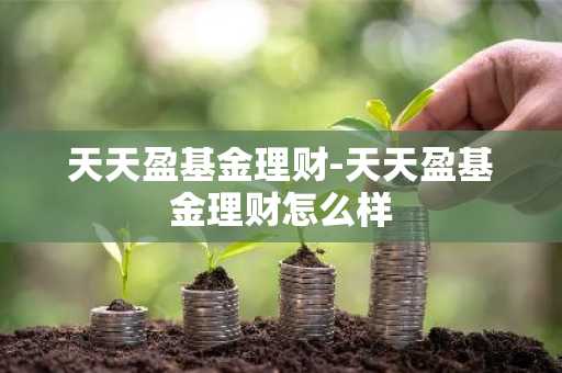天天盈基金理财-天天盈基金理财怎么样
