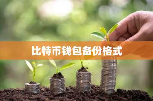 比特币钱包备份格式
