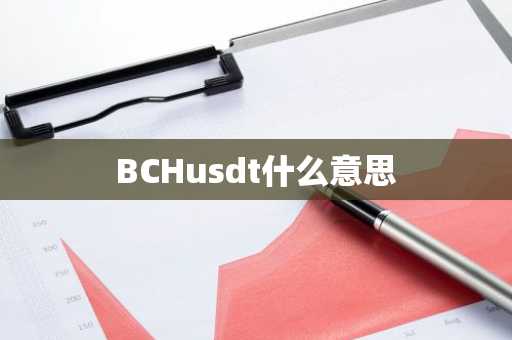 BCHusdt什么意思