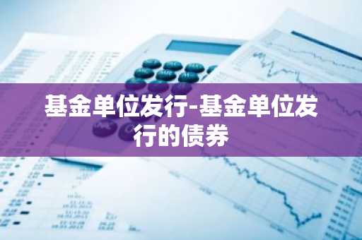基金单位发行-基金单位发行的债券