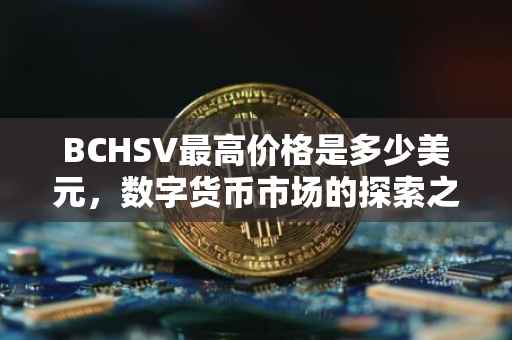BCHSV最高价格是多少美元，数字货币市场的探索之旅