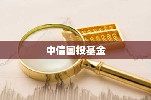 中信国投基金