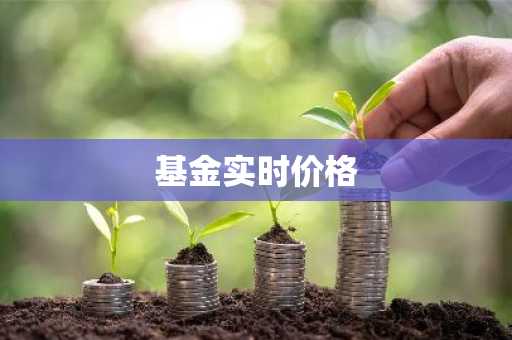 基金实时价格