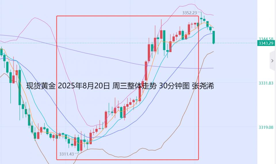 张尧浠：百日线支撑如期看涨反弹、日内回落仍可低多　　