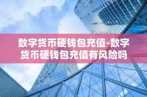 数字货币硬钱包充值-数字货币硬钱包充值有风险吗