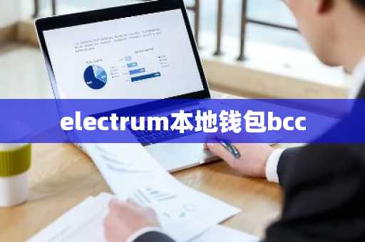 electrum本地钱包bcc