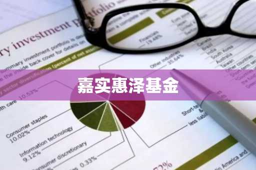 嘉实惠泽基金