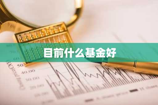 目前什么基金好