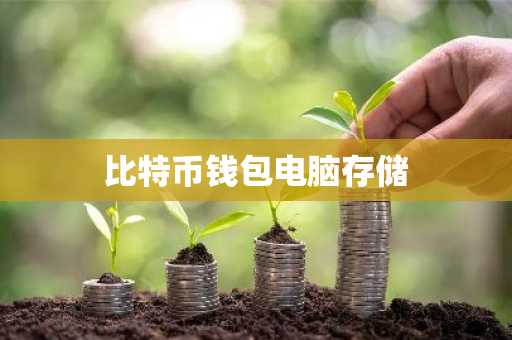 比特币钱包电脑存储