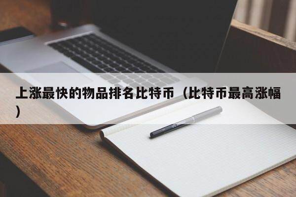 上涨最快的物品排名比特币（比特币最高涨幅）