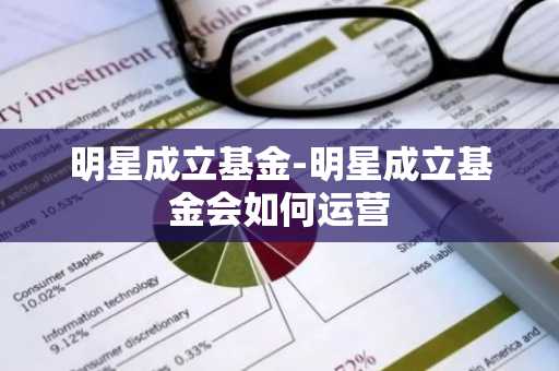 明星成立基金-明星成立基金会如何运营