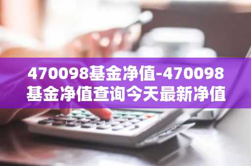 470098基金净值-470098基金净值查询今天最新净值