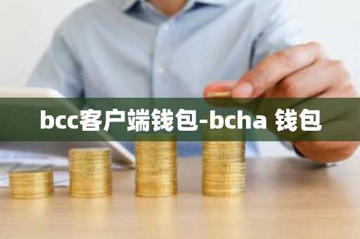 bcc客户端钱包-bcha 钱包