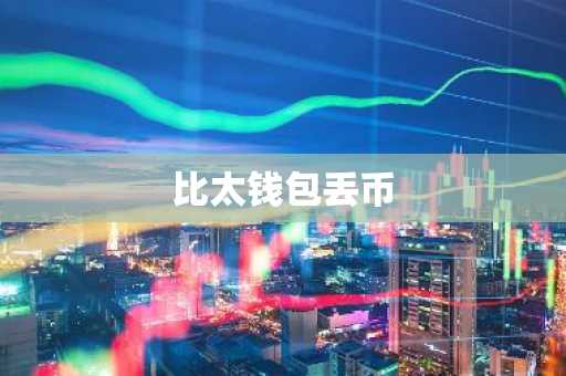 比太钱包丢币