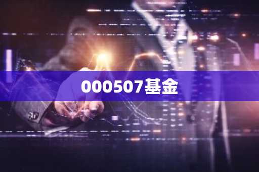 000507基金