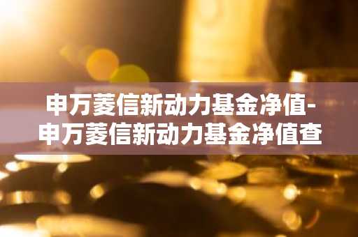 申万菱信新动力基金净值-申万菱信新动力基金净值查询今天最新净值