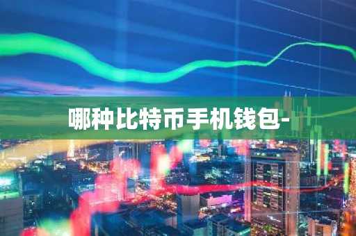 哪种比特币手机钱包-