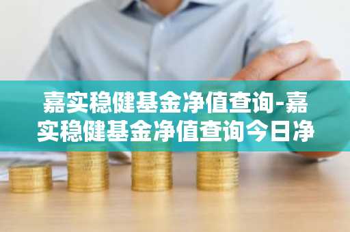 嘉实稳健基金净值查询-嘉实稳健基金净值查询今日净值