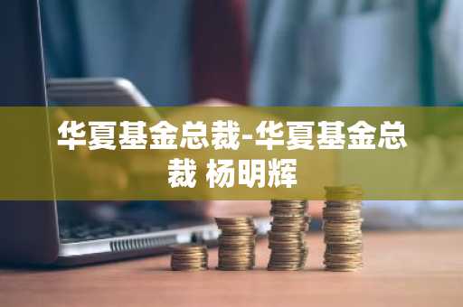 华夏基金总裁-华夏基金总裁 杨明辉