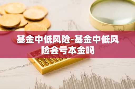 基金中低风险-基金中低风险会亏本金吗