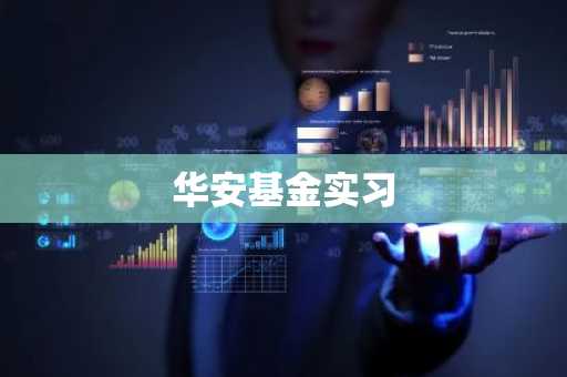 华安基金实习