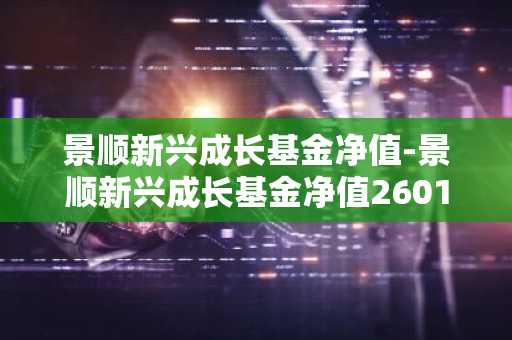 景顺新兴成长基金净值-景顺新兴成长基金净值260108