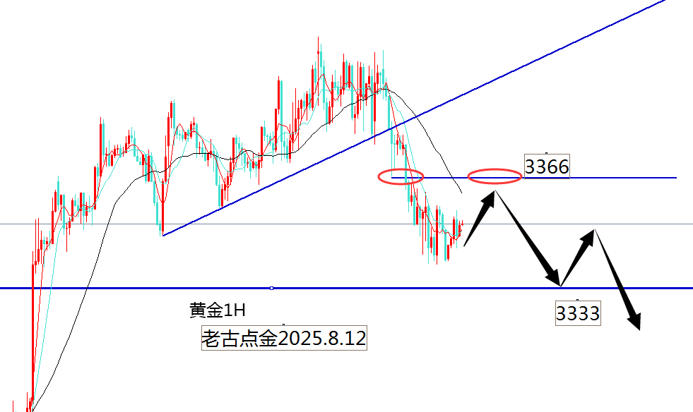 老古点金：黄金3355空