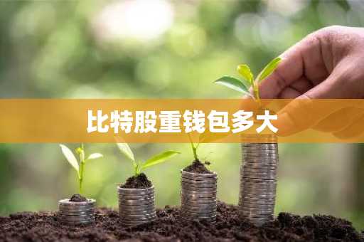 比特股重钱包多大