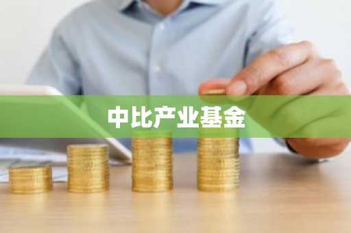 中比产业基金