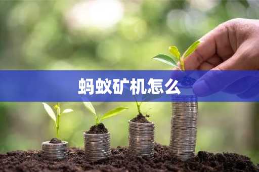 蚂蚁矿机怎么