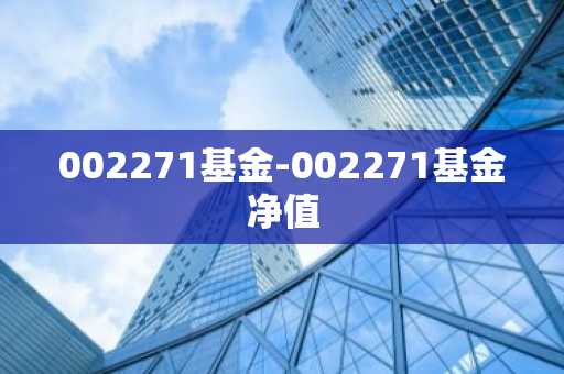 002271基金-002271基金净值