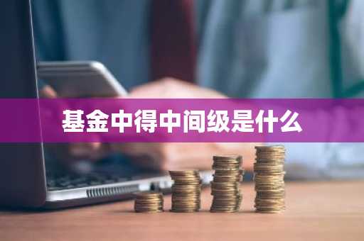 基金中得中间级是什么