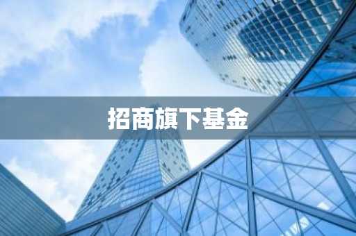 招商旗下基金