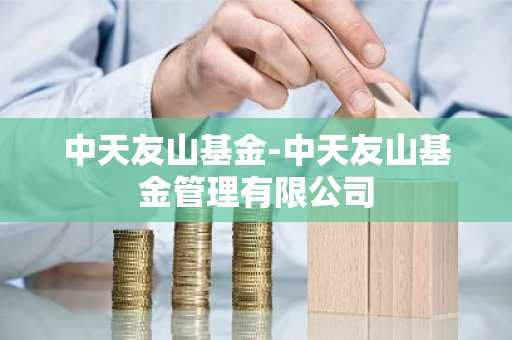中天友山基金-中天友山基金管理有限公司
