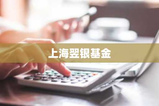 上海翌银基金