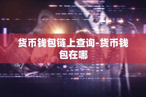 货币钱包链上查询-货币钱包在哪