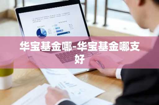 华宝基金哪-华宝基金哪支好