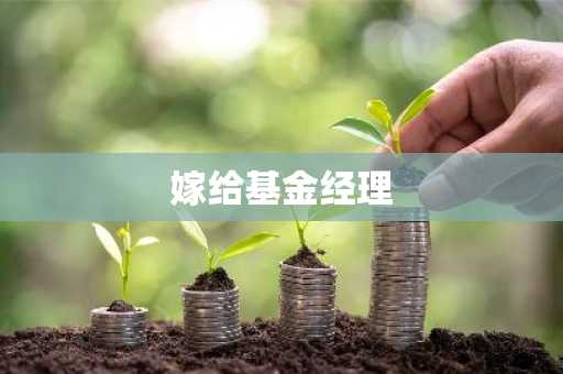 嫁给基金经理