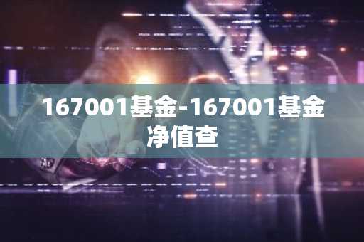 167001基金-167001基金净值查