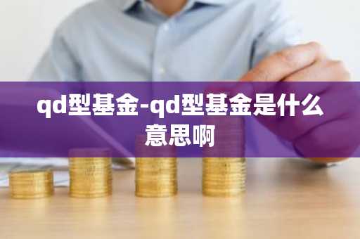 qd型基金-qd型基金是什么意思啊