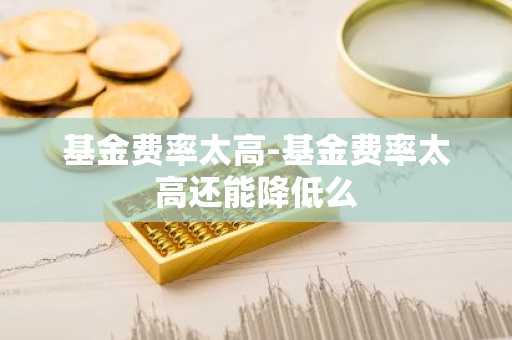 基金费率太高-基金费率太高还能降低么