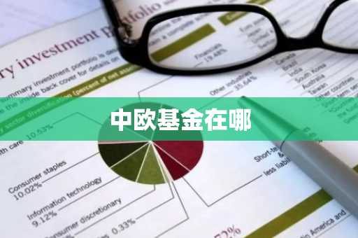 中欧基金在哪