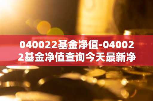 040022基金净值-040022基金净值查询今天最新净值