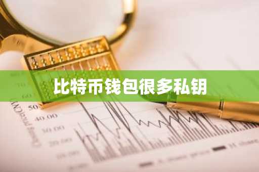 比特币钱包很多私钥